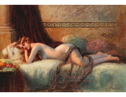 A-8316 Delphin Enjolras - Nejkrásnější růže