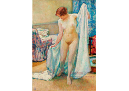 DDSO-3011 Theo van Rysselberghe - Po koupeli