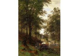 SO XII-431 Fritz Ebel - Lesní idyla