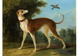 KO III-202 Jean-Baptiste Oudry - Pes v krajině