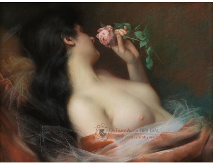 A-8637 Delphin Enjolras - Květina