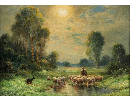 DDSO-4043 Neznámý autor - Stádo ovcí na pastvě
