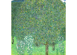 VR3-120 Gustav Klimt - Růžové keře pod stromy