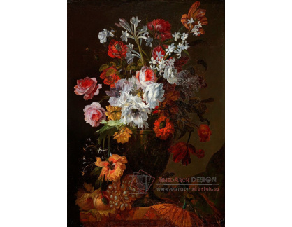 DDSO-218 Jean Baptiste Morel - Zátiší s růžemi, narcisy a karafiáty