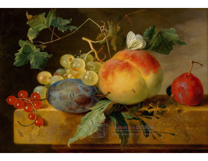 A-1336 Jan van Huijsum - Zátiší s ovocem