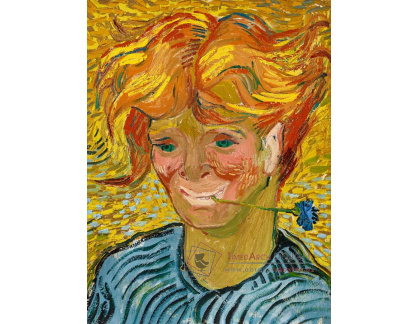 A-3237 Vincent van Gogh - Portrét mladého muže s chrpou