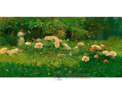 A-3823 Alois Kalvoda - V růžové zahradě