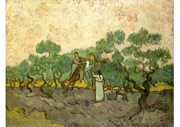 VR2-175 Vincent van Gogh - Sběrači oliv