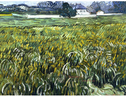 VR2-269 Vincent van Gogh - Pšeničné pole v Auvers s bílým domem