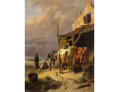 VH819 Wouterus Verschuur - Odpočívající koně poblíže pláže
