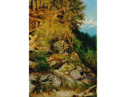 D-8618 Eduard Majsch - Skály a stromy v horské krajině