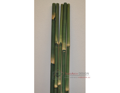 Bambusová tyč 5 - 6 cm, délka 2 metry - barvená zelená