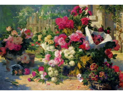 SO XVI-113 Alfred Petit - Koše a květináče v zahradě