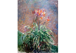 A-297 Claude Monet - Lilie