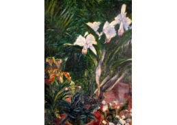 A-4825 Gustave Caillebotte - Orchideje
