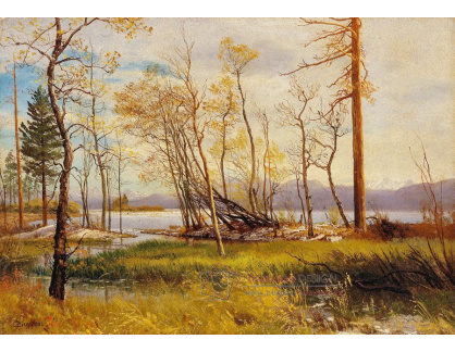 D-6975 Albert Bierstadt - Jezero Tahoa
