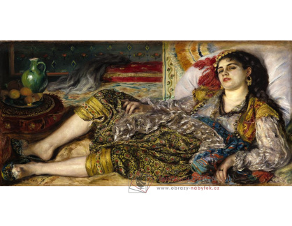 D-8391 Pierre-Auguste Renoir - Odalisque