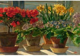 VKZ 293 Olga Alexandrovna - Květiny na okně