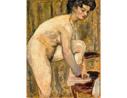 A-4657 Pierre Bonnard - Akt