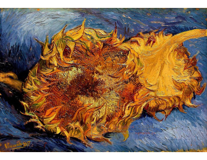 R2-1554 Vincent van Gogh - Dvě uřezané slunečnice