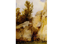 DDSO-2992 Richard Parkes Bonington - Krajina ve Fontainebleau