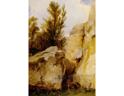 DDSO-2992 Richard Parkes Bonington - Krajina ve Fontainebleau