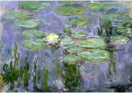 VCM 33 Claude Monet - Lekníny