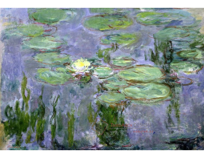 VCM 33 Claude Monet - Lekníny