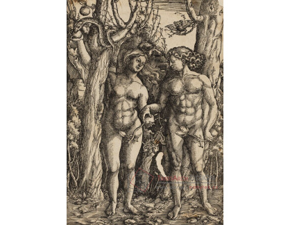 VR12-105 Albrecht Dürer - Eva a Adam
