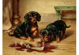 A-8627 Carl Reichert - Štěňata