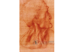 R1-237 Leonardo da Vinci - Studie hlavy Jidáše