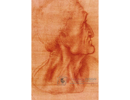 R1-237 Leonardo da Vinci - Studie hlavy Jidáše