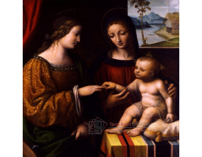 SO XII-471 Bernardino Luini - Mystické manželství svaté Kateřiny