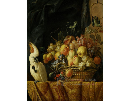 DDSO-2339 Jan Pauwel Gillemans - Zátiší s ovocem na stole a papouškem