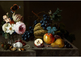 A-1347 Johann Amandus Winck - Květiny a ovoce s motýly a myší