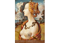 KO V-167 Piero di Cosimo - Portrét Simonetty Vespucci