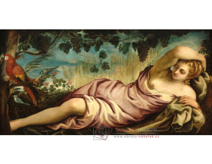 A-2614 Tintoretto - Léto