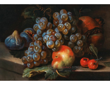 A-5495 Michelangelo Cerquozzi - Hrozny, granátové jablko, fíky, hrušky a třešně