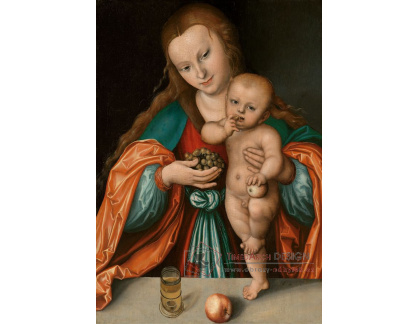 D-7945 Lucas Cranach - Madonna a dítě