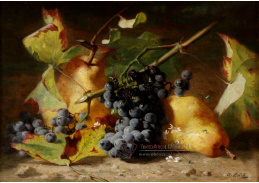 D-9259 Andreas Lach - Zátiší s ovocem