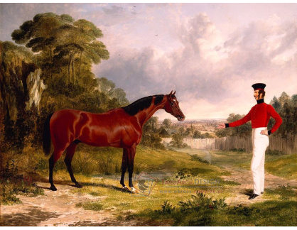 VANG169 John Frederick Herring - Voják s důstojnickým koněm