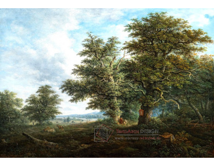 D-9506 Johann Jacob Dorner - Kopcovitá krajina s postavou odpočívající pod duby