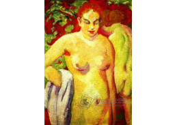 VFM 3 Franz Marc - Akt na červeném pozadí