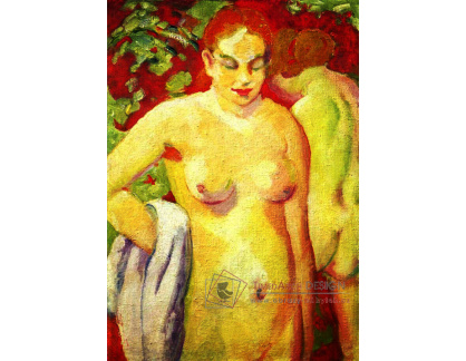 VFM 3 Franz Marc - Akt na červeném pozadí