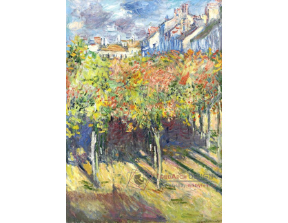 VCM 100 Claude Monet - Limetky v Poissy