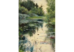 VSO244 Anders Zorn - Krajina Mory