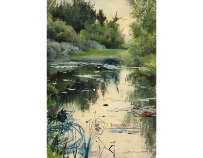 VSO244 Anders Zorn - Krajina Mory