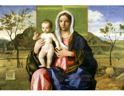 SO VI-290 Giovanni Bellini - Madonna a dítě