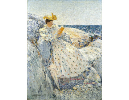 SO XII-418 Childe Hassam - V letním slunci