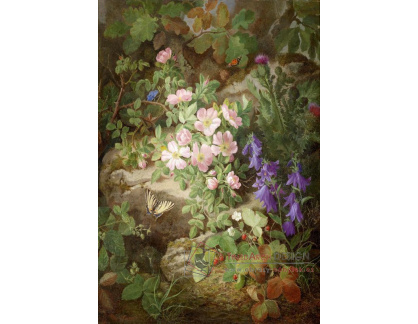 VKZ 448 Josef Lauer - Kytice květin s ptačím hnízdem